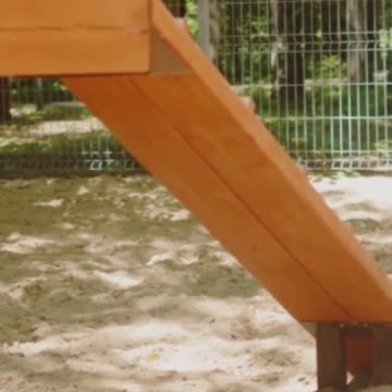 Unleashing Wellness: A Happy Dog is a Healthy Dog #dog #petcaretips #doglover #diy