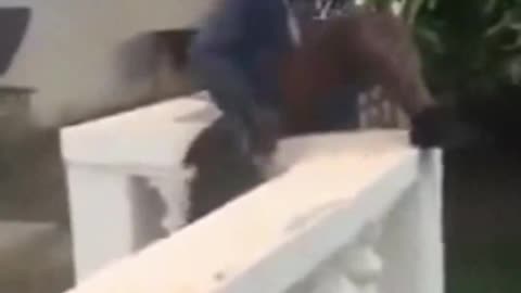 Education is important.