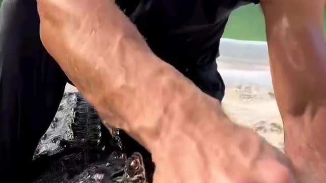 This guy's got a lot of nerve, pulling the crocodile open