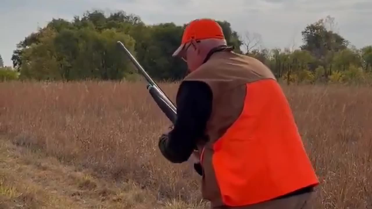 Tim Walz claims to be a long term gun owner can't load his shotgun he says he has had a long time?