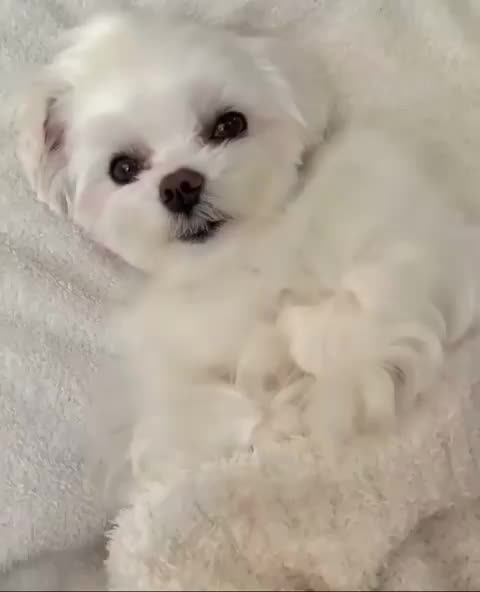 Beautiful and Lovely😍😍