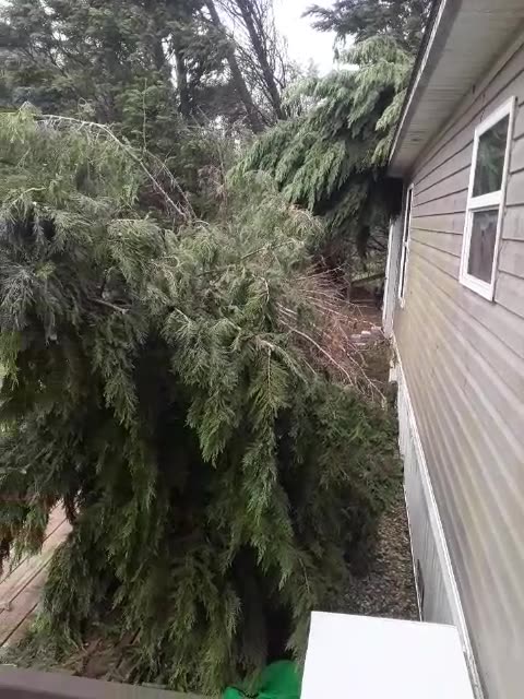 The Struggle is Real