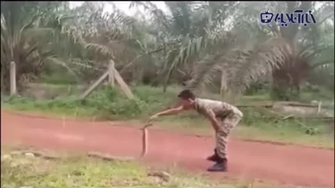 Catching a cobra with empty hands