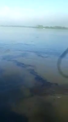Derrame de crudo en el Río Magdalena 2