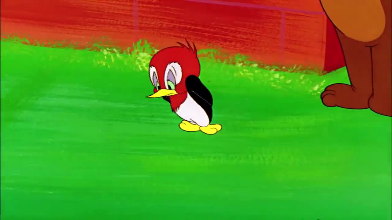 desenho animado
