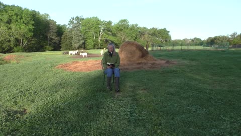 Happy Easter! Morning Prayer