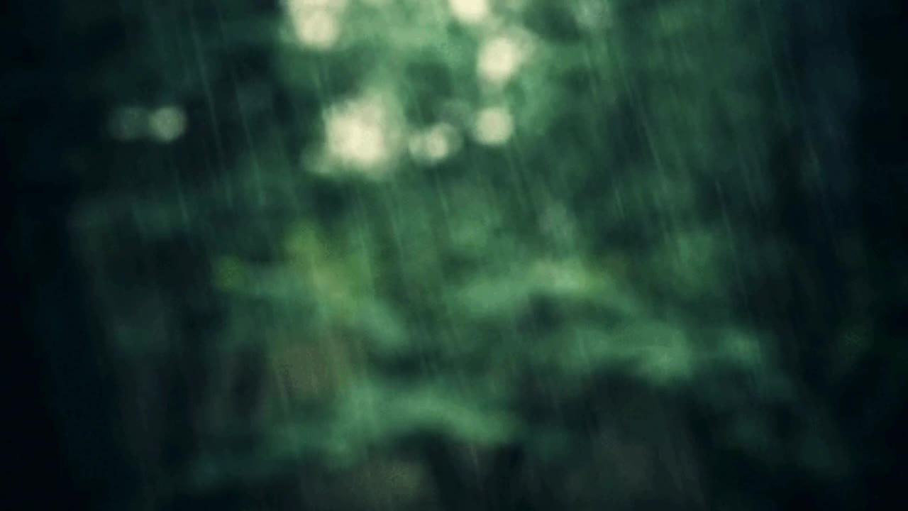 3 HOURS OF RAIN SOUNDS FOR RELAXATION, SLEEP, AND MEDITATION