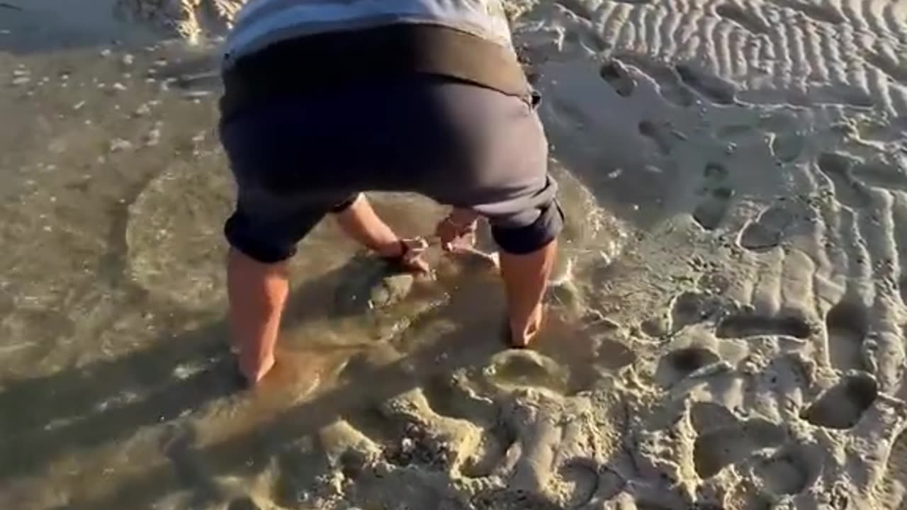 Kind man saved stranded baby shark and he made a horrifying discovery…