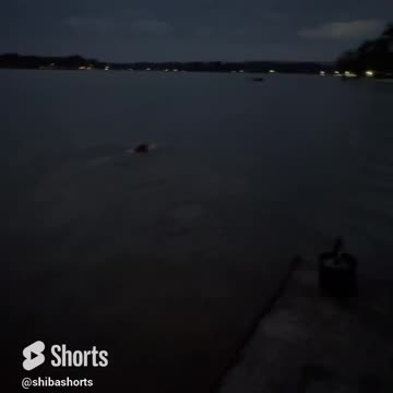 Sunshine or Rain he loves the lake