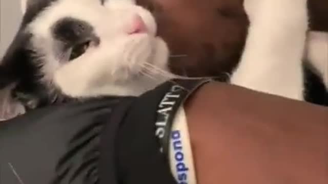 Young man suffocating kitten with kisses!