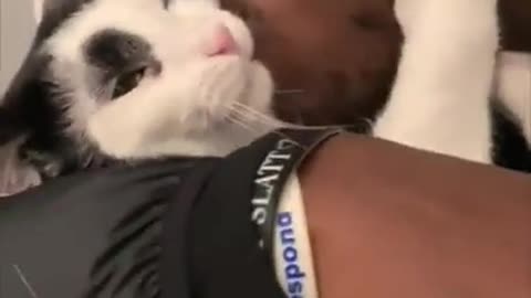 Young man suffocating kitten with kisses!