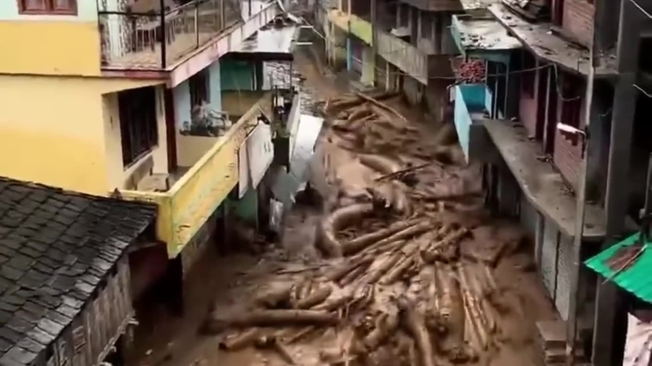 Landslide sweeps away trees in northern India