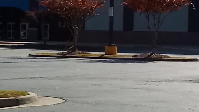Random Guy Ranting about The Economy in 2021