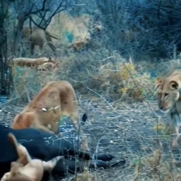 it can't be worse than not being hungry