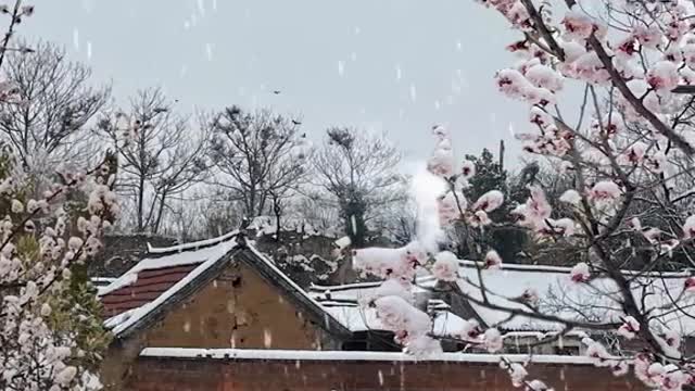 It is such a long and gray winter - our love, hate, moved, sad.