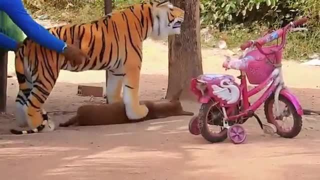 You will laugh hhh
