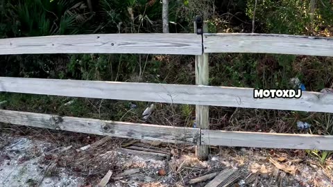 Motorcycle Rider Reveal Their SECRET Addictions!