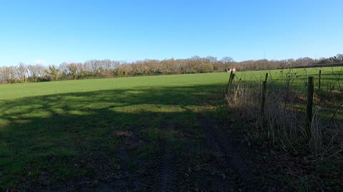 Hiking near a large ironage fort. How do I get to the main path????????