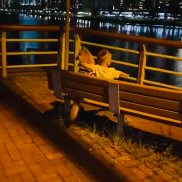 Little boy and his dog