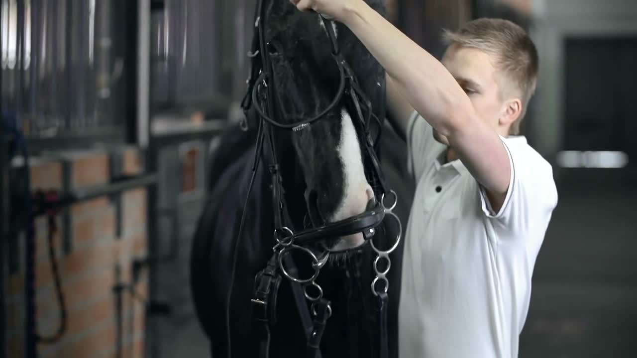 Close up of horseman taking the bridle off the horse and it shaking head in joy