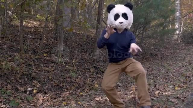 Man silly dancing and celebrating with a panda head mask while outside in a park - slow motion