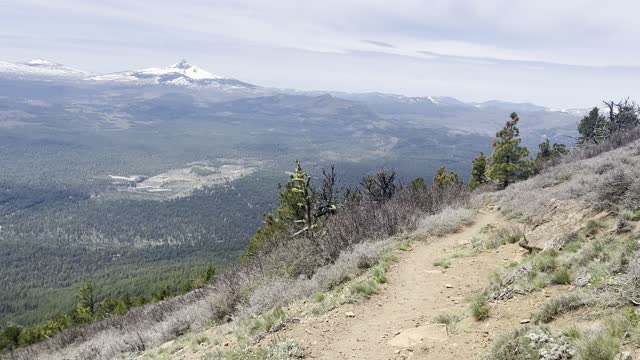 Descending EPIC Black Butte Trail – Deschutes National Forest – Central Oregon – 4K