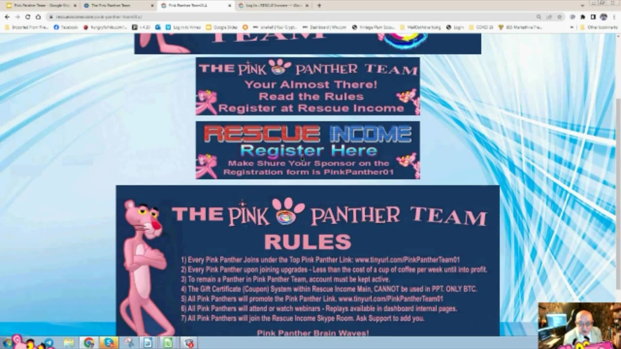 The Pink Panther Team at Rescue Income Webinar 27th Nov 2023