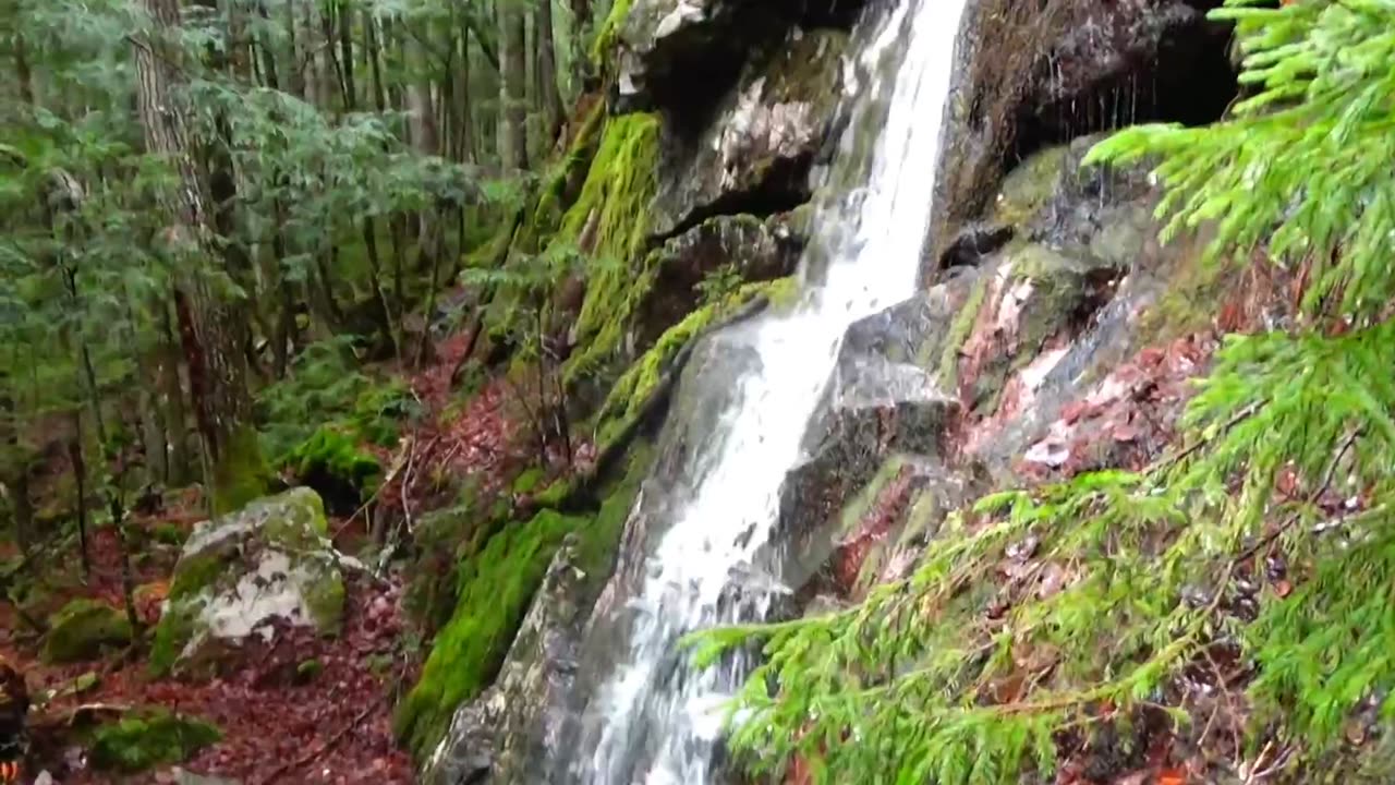 Cascade
