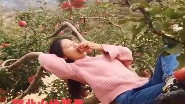 The Best Funny TikTok 2021 😂😂 | New TikTok Comedy | New Funny videos.