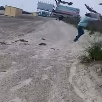 SEAGLES ATTACKING A HUMAN #shorts #fail #animals #funnyvideos #comedy #failcompilation #funnyfails