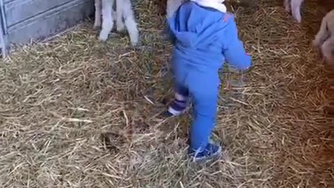 Funny Kids and Animals #3