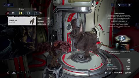 Ummm... I Think my Pets are Cursed...