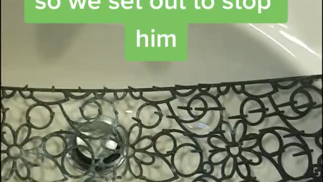 Cute and Funny Cat Videos Compilation - PART 24