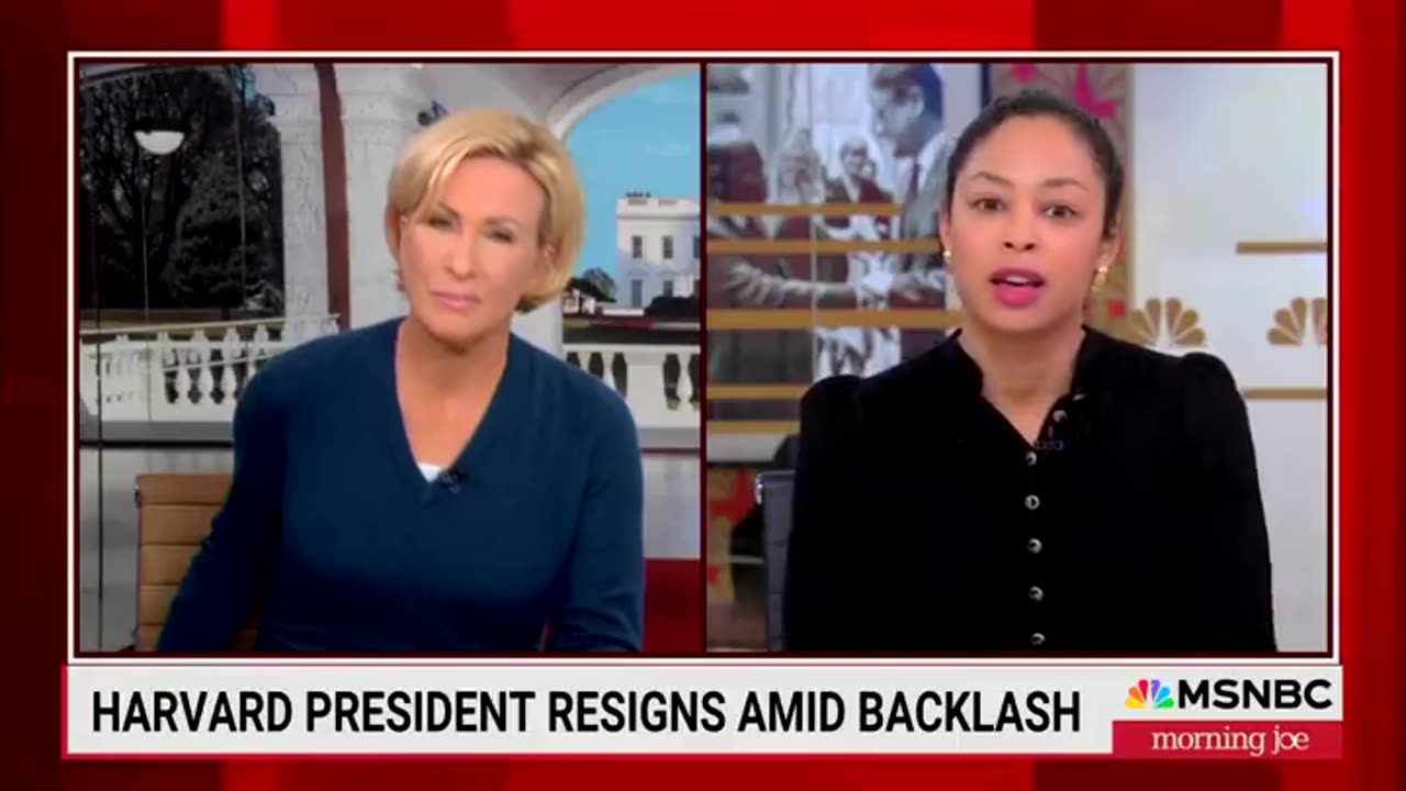 NYT's Mara Gay Says 'You Can Hear And See The Racism' In The 'Attacks' On Claudine Gay