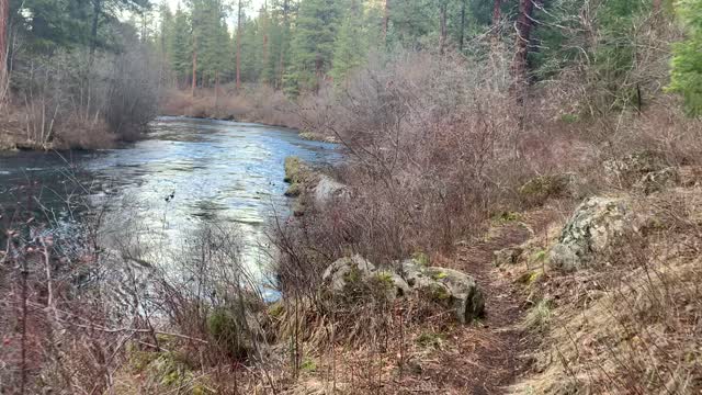 Lazy River Section of Metolius River – Central Oregon