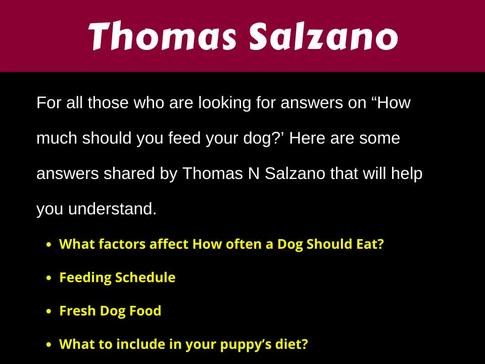 Thomas Salzano aka Thomas N Salzano - How Much Should You Feed Your Dog