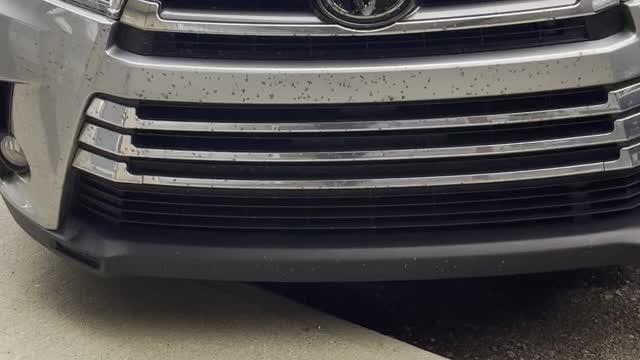 Great Toyota car Canada