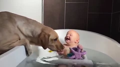 Funny babies playing with pets compilation all the time!!!