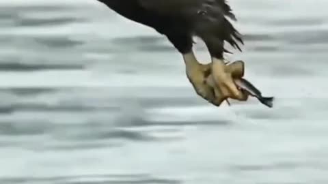 Viral#amazing#natural