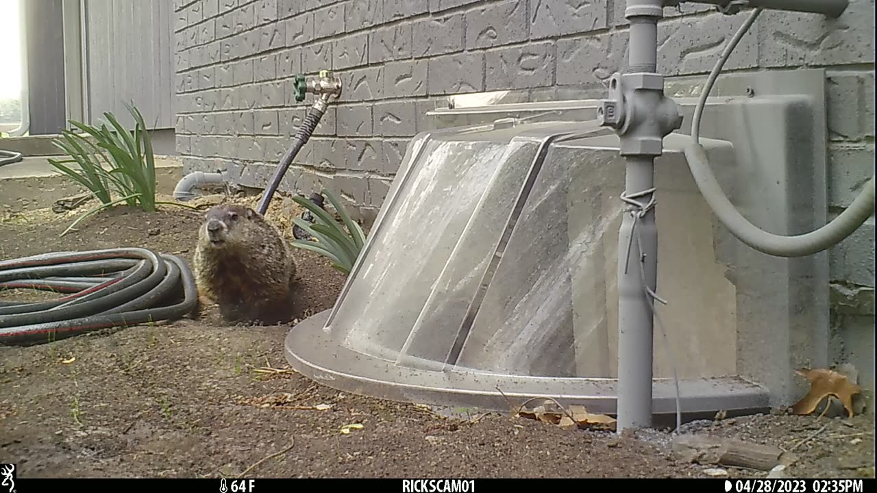 Rudy sneeks out!