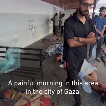 At least 100 Palestinians were killed, including children,...