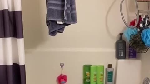 Cat instantly regrets it after jumping on towel.