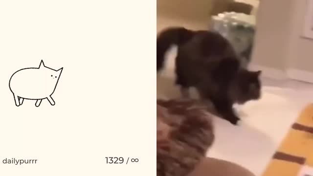 When you get the opportunity to demonstrate your capoeiro skills, but no one asked about it