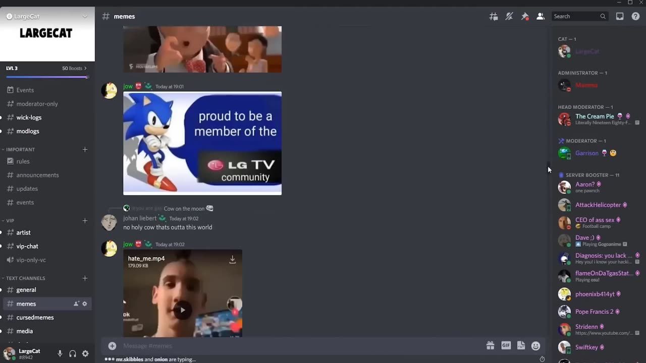 offensive memes that if ylyl v62