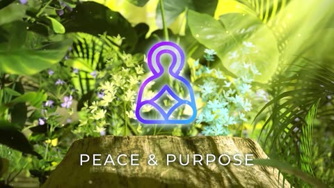 Peace & Purpose - Paths of Positivity