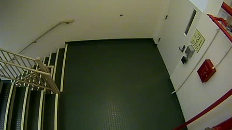 8403OHOB03Stair4_2021-01-06_15h11min21s583ms.mp4