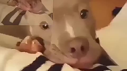 Playing with the master