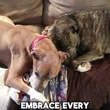 Embrace every challenge