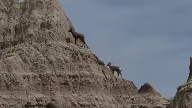 Badlands national park