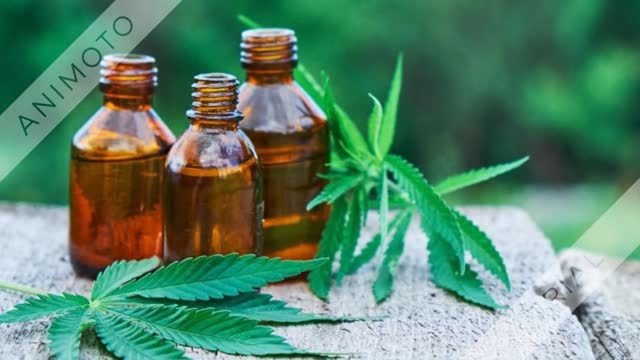 Sunraised Hemp Oil - You Can Get All The Health Benefits